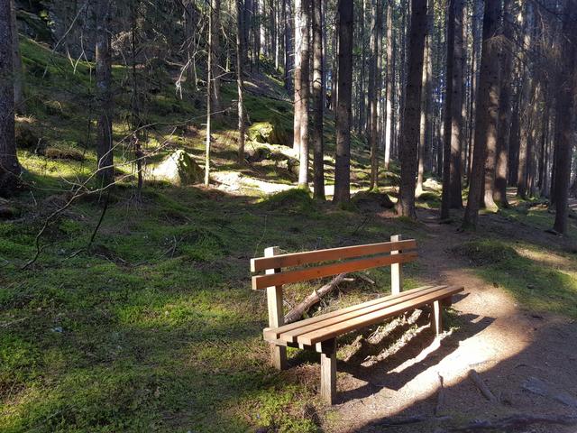 Download Verschwendete zeit For Free