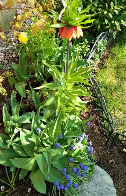 Im April im Garten
