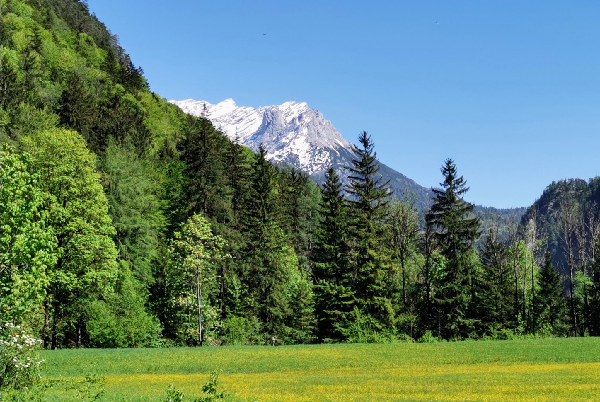 Blick zum Persailhorn