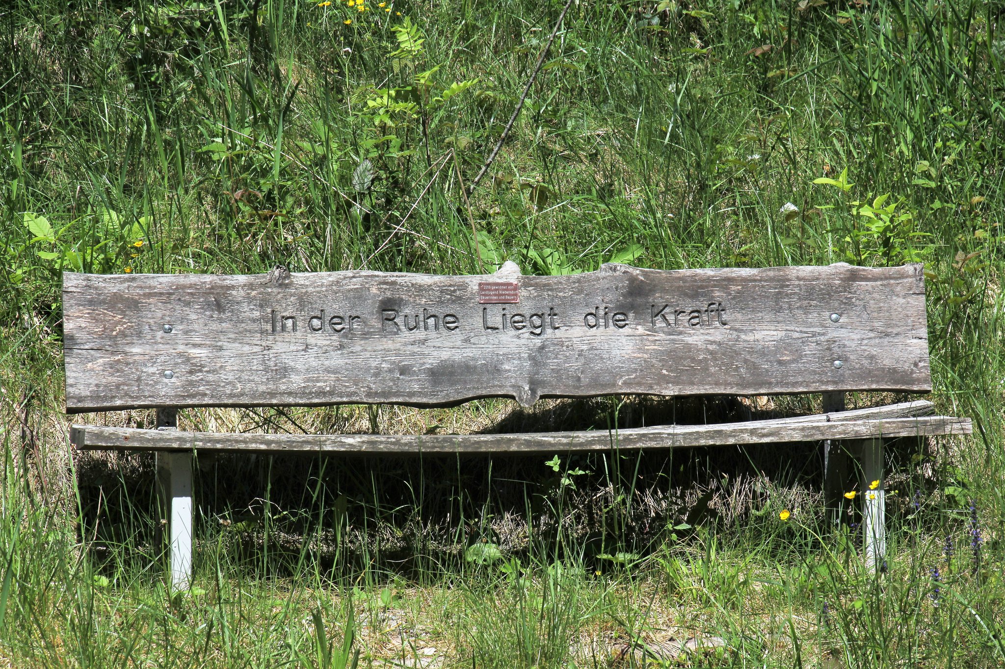 In der Ruhe liegt die Kraft In der Ruhe liegt die Kraft