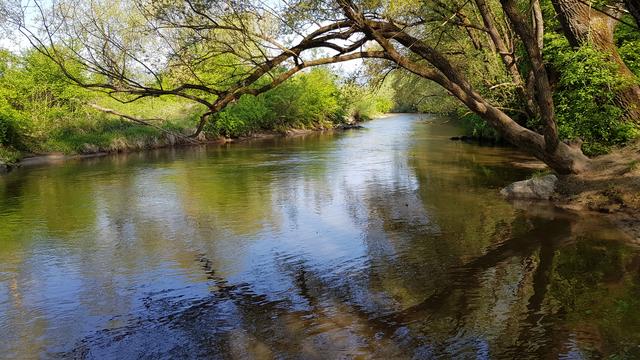 Entlang der Lavant gibt es viele  Orte der Ruhe, an denen man Kraft tanken kann. | Foto: Johannes Kreuzer 