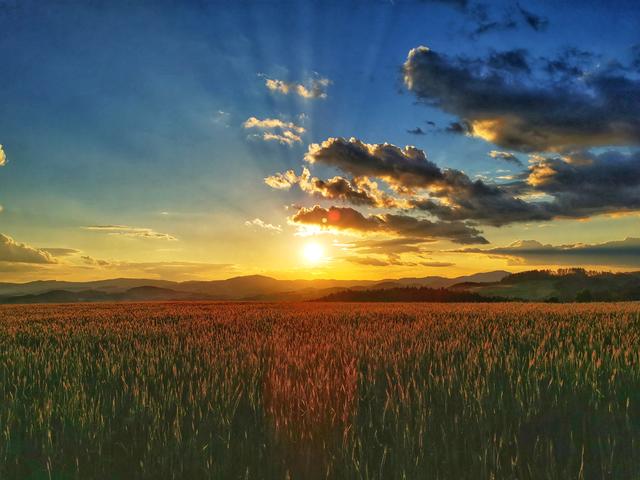 Abendstimmung