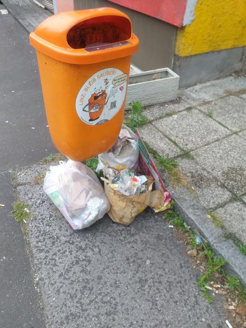 Simonystrasse - erfolgreich