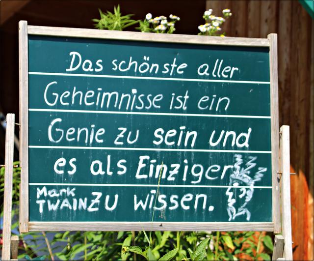 Get Spruch waldspaziergang Desktop Wallpaper