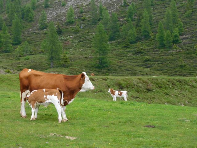 Mutter mit ihren Zwillingen