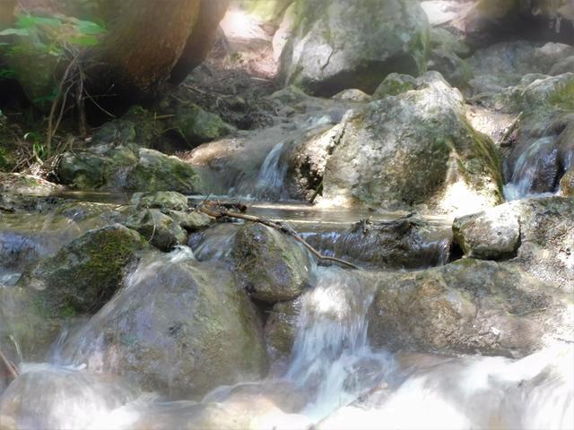 Wasser als Lebenselixier