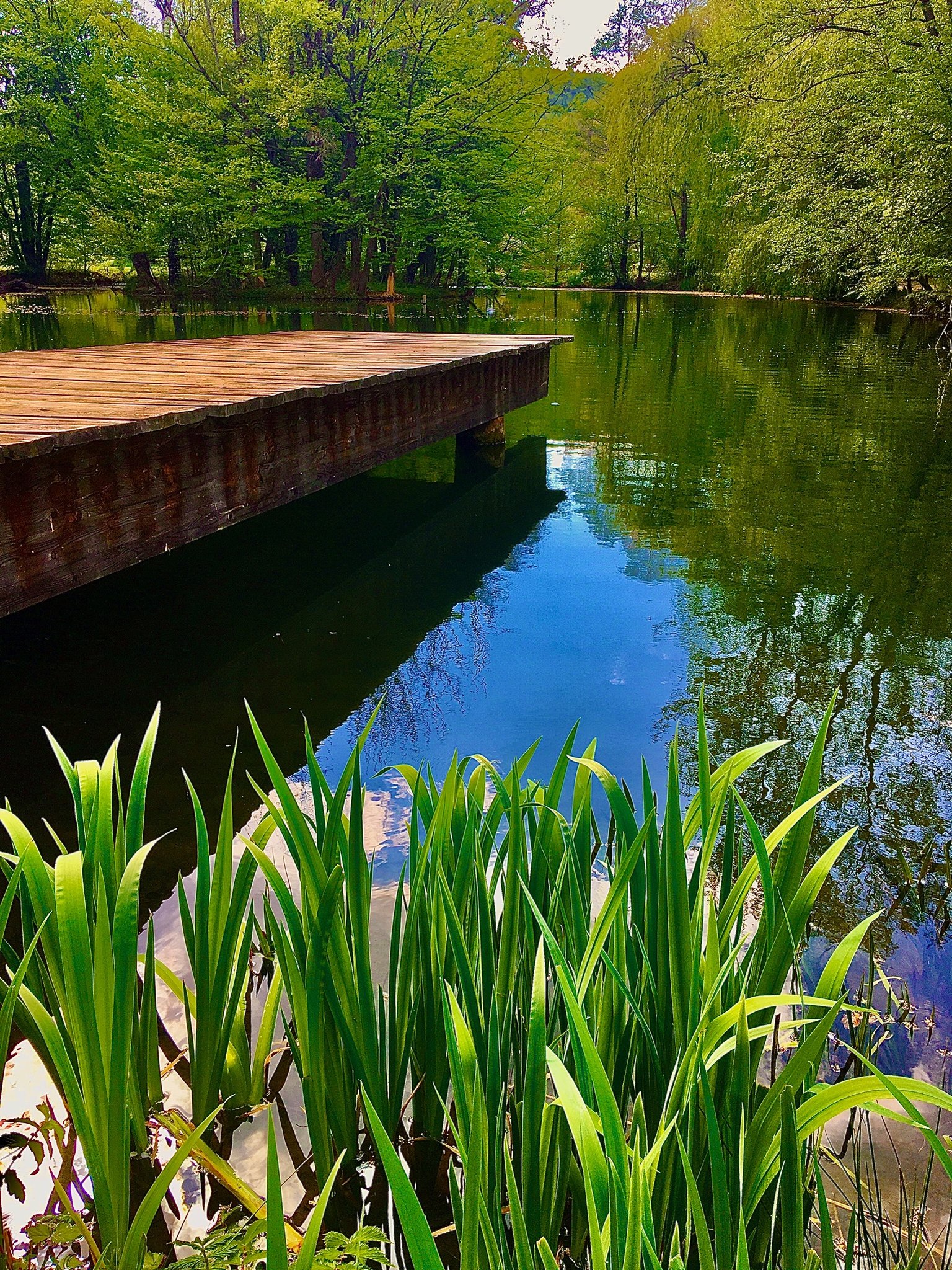 Park Seebensteinwunderschöner Teich, mit einem schönem Steg , der über