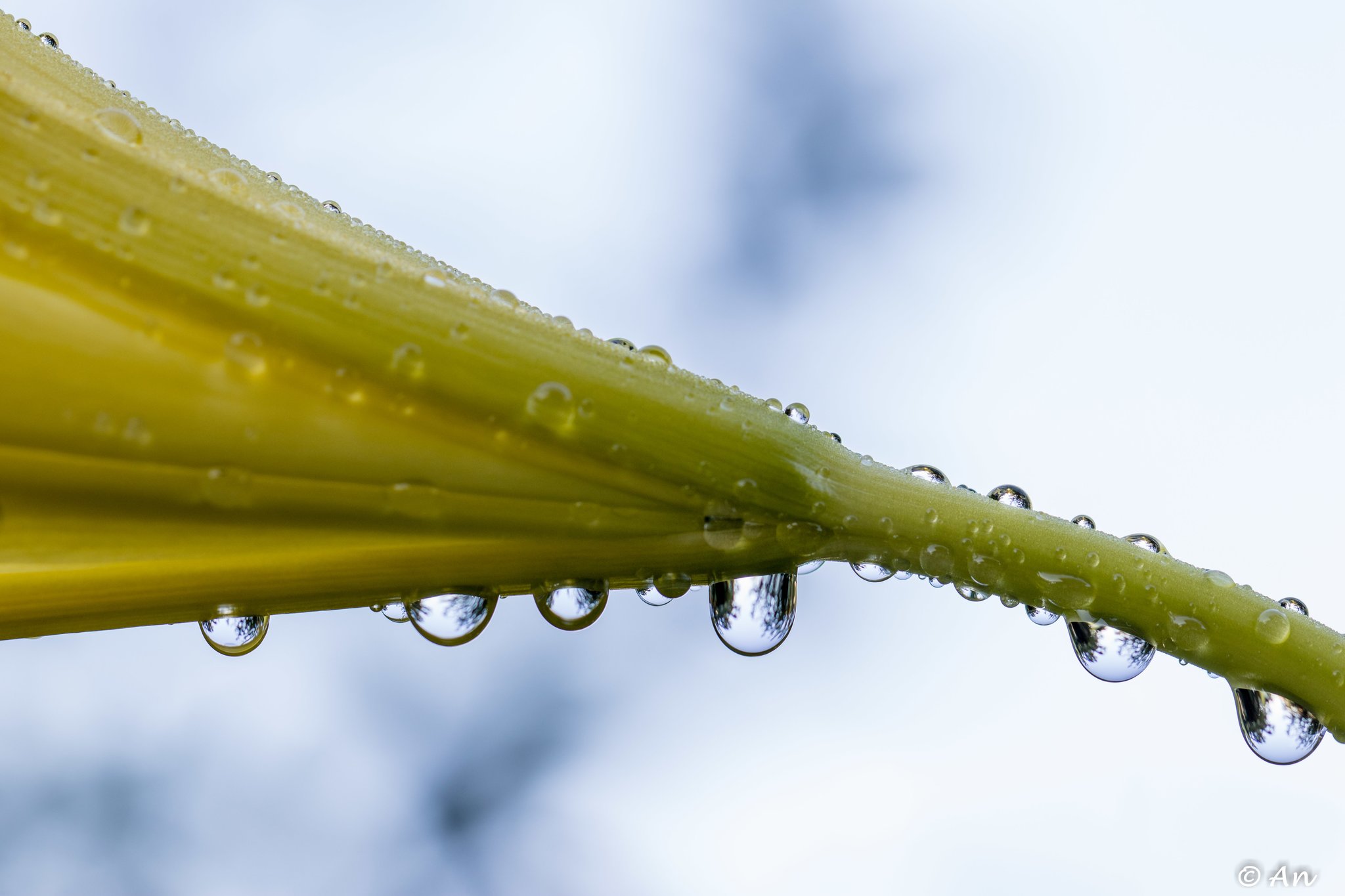Lerne, im Regen zu tanzen!