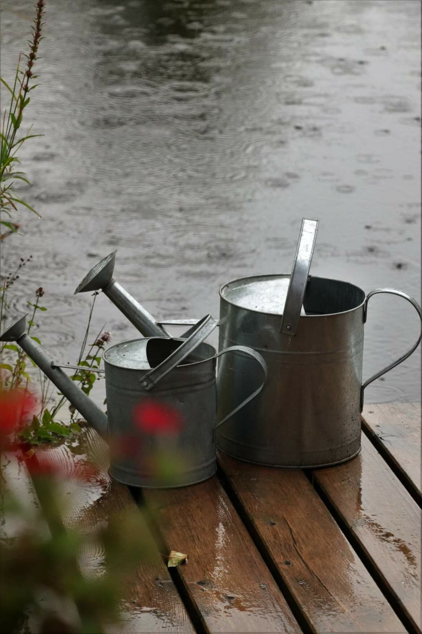 Regnerisch im Garten