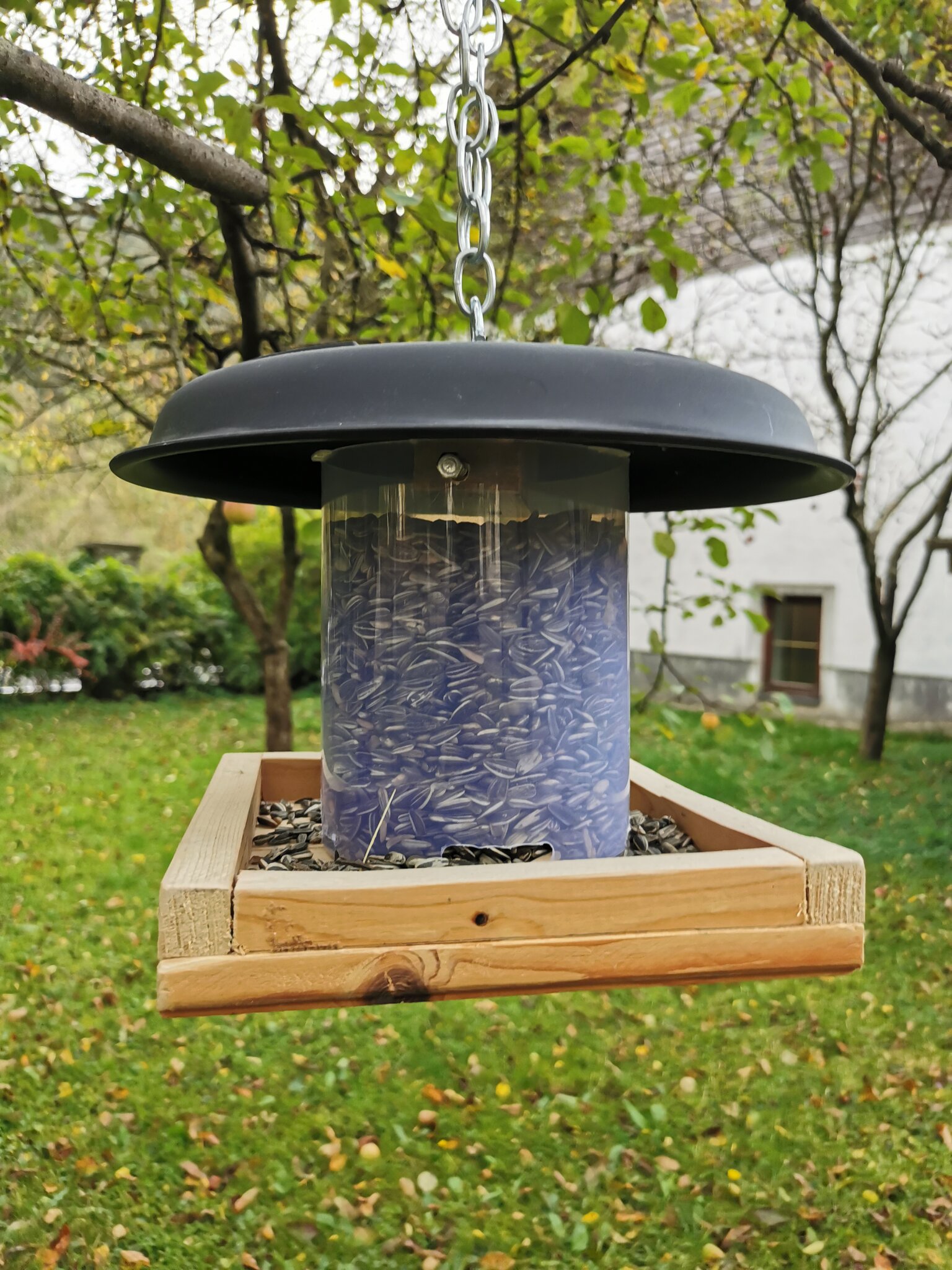 Das Buffet ist eröffnet