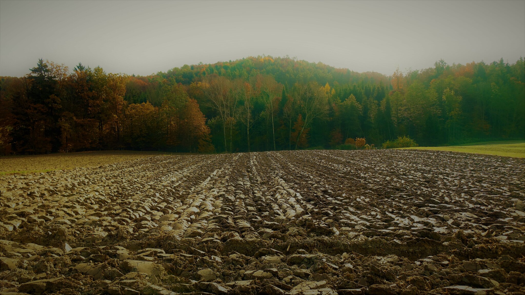 STEIERMARK ist ein Acker und Waldland - der Verbauungswahn macht Sorgen