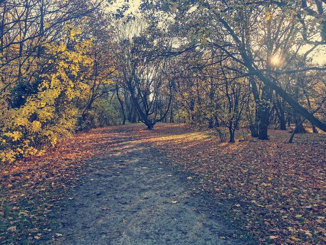 Spaziergang im Harry Glück Park | Foto: Reisenbauer