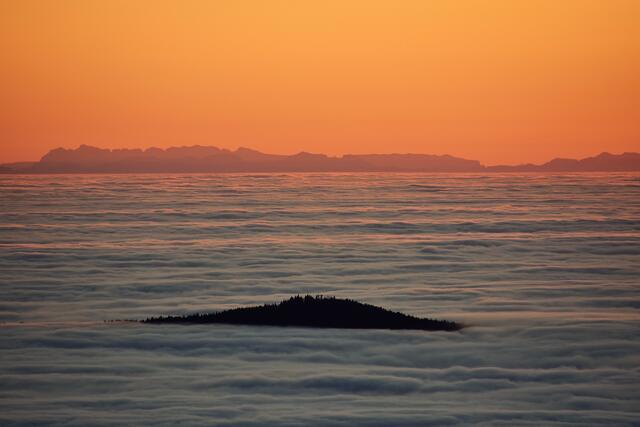 Sonnenuntergangsblick vom Stinglfelsen - nur der Ameisberg ragt aus dem Nebelmeer heraus.