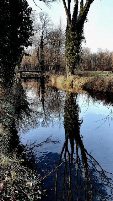 Foto: Robert Rieger Photography