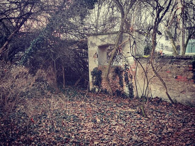 Vergessene Zeiten... Im Harry Glück Park ist dieses verlassene Tor zu finden. Wer weiß was es früher einmal war?  | Foto: Lreis