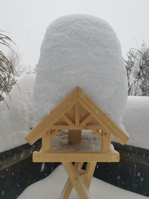 Vogelhaus mit Schneehaube...  | Foto: T. L. 