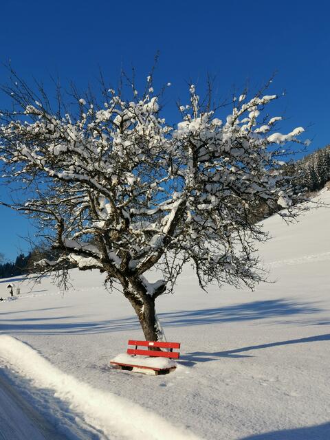 Winterwonderland #Wildschönau | Foto: T. L.