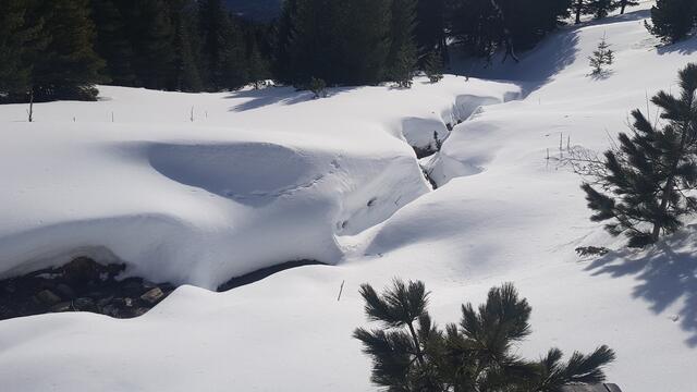 Waldheimhütte ,Richtung Türkenkreuz