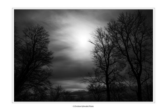 Wenn es Nacht wird im Wienerwald.
