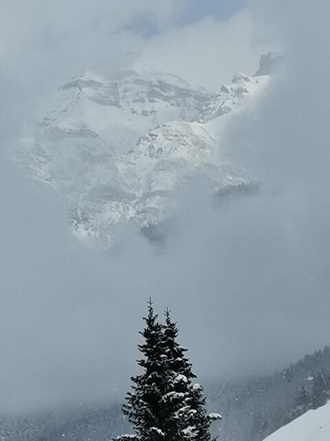 Serles Im Stubaital auch „Hochaltar von Tirol“ genannt.