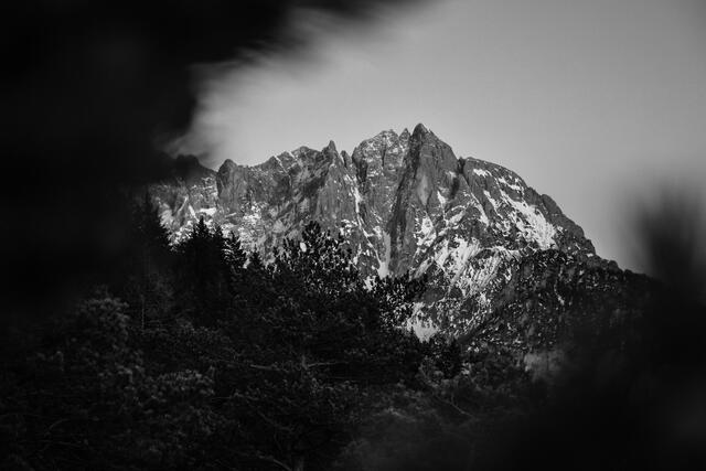 das Xeis schwarz-weiß