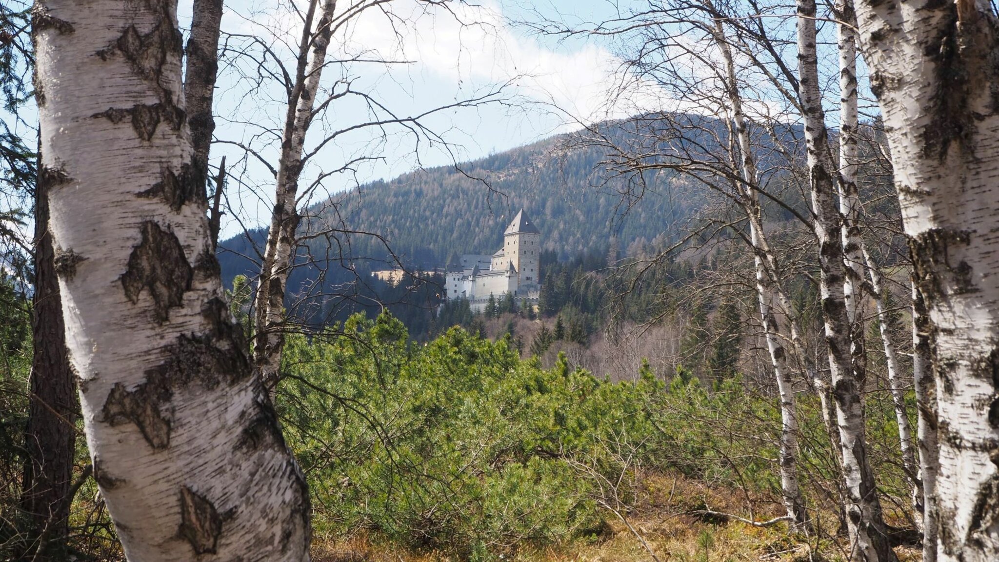 Ein Blick übers Moor auf das Schloss Moosham