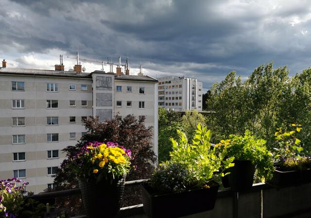 Das Sonnenlicht noch schnell eingefangen.