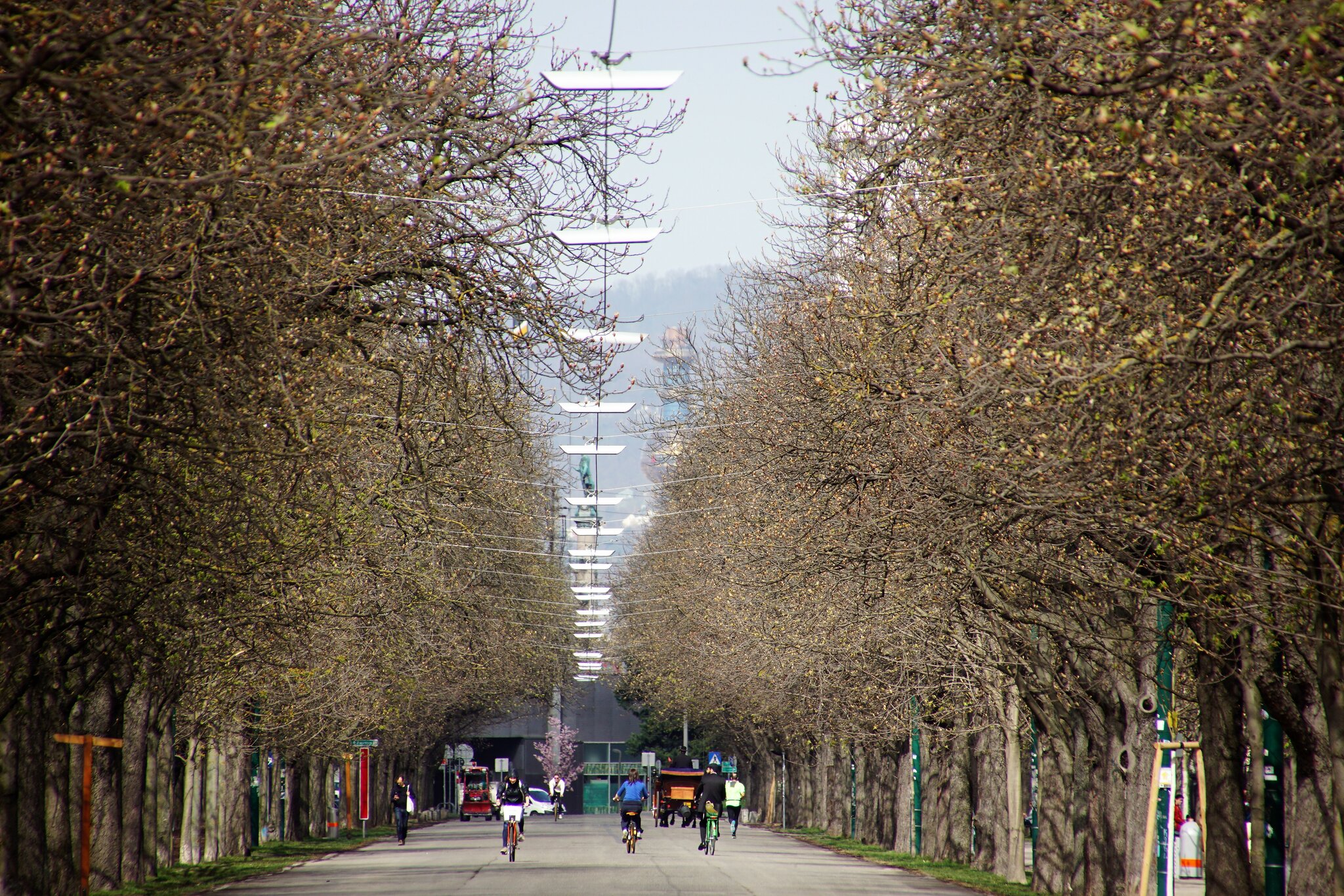 Durch Die Prater Hauptallee durch-die-prater-hauptallee