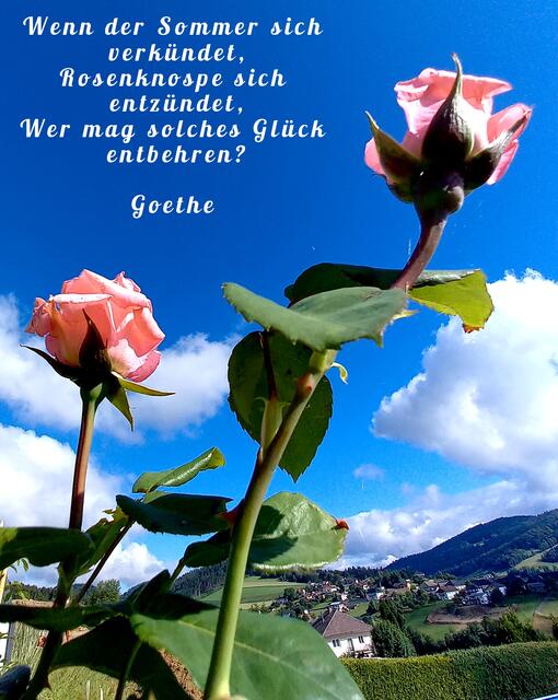Ich wünsche euch allen ein schönes sonniges Wochenende!🌞🌞🌞