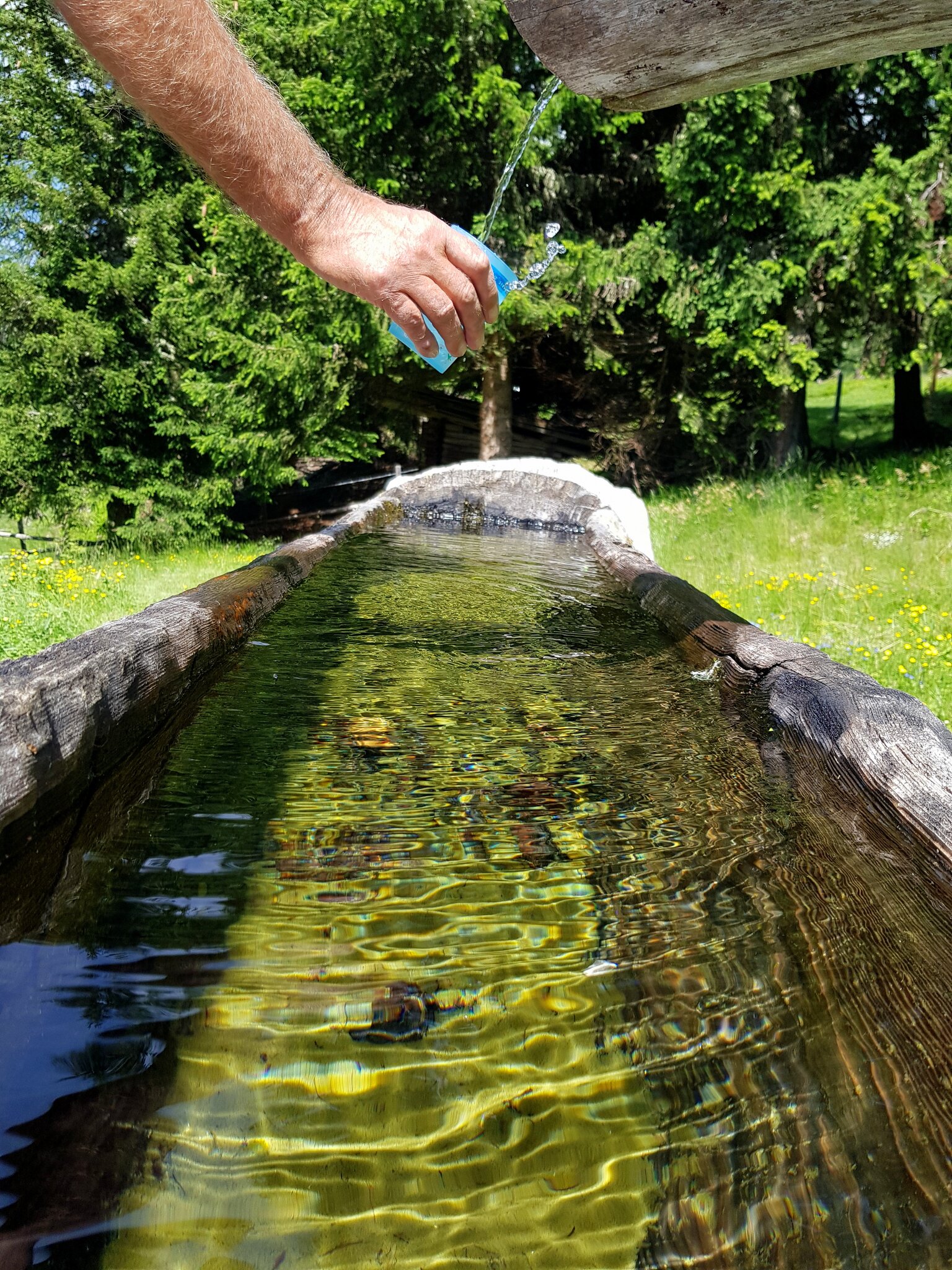 reines-quellwasser-auf-den-bergen