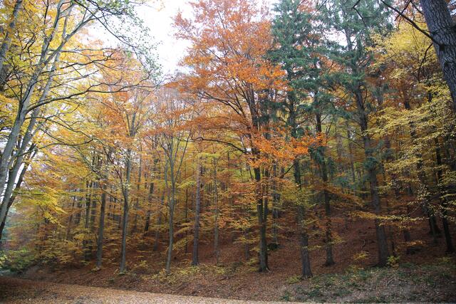 Foto: © Robert Rieger Photography