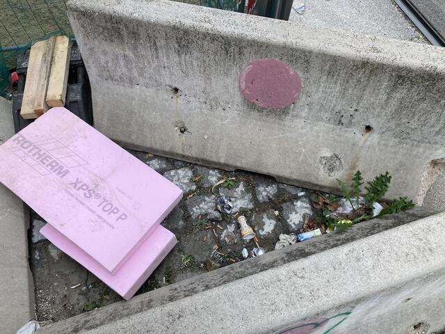 Ein kleine idyllische Müllinsel im 8. Bezirk - gesehen in der Josefstädter Straße  | Foto: (c) F. Waldner