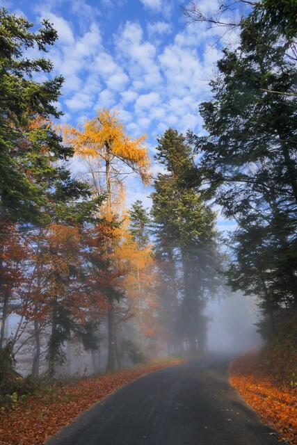 Einzug des Herbstnebels