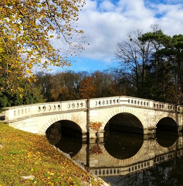 Ach du wunderschöner, eleganter und goldener Herbst. Die beste Zeit des Jahres. Perfekt geeignet für einen entspannten Spaziergang in Laxenburg.