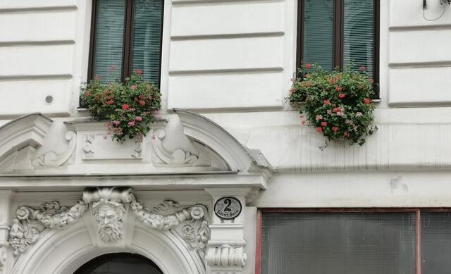 In der Lederergasse blühen noch viele Pflanzen im Fensterkisterl