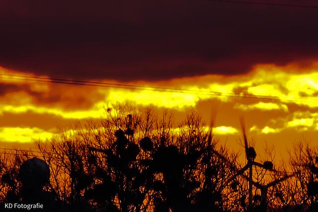...die heutige Morgenstimmung....