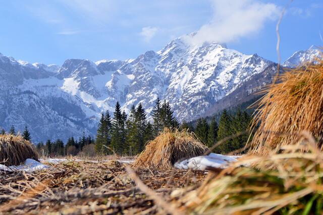 Blick vom Almsee bei Grünau | Foto: Gerhard Schrödl