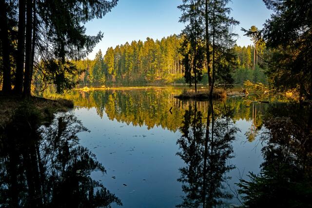 Zeit, die man im Wald
verbringt, ist niemals
verschwende Zeit!
Murwald in Murtal
Maier Brigitte