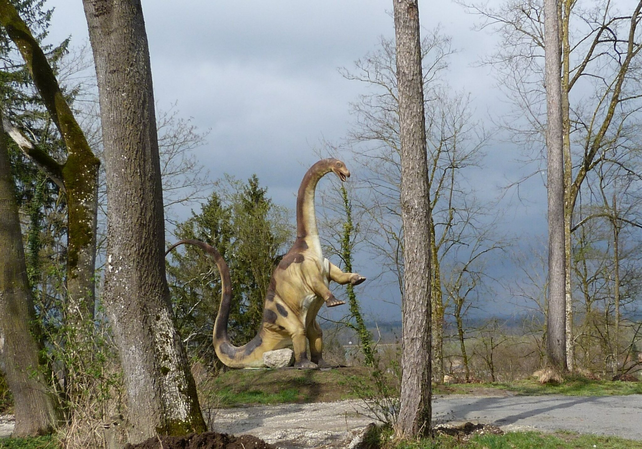 die Dinos sind zurück....