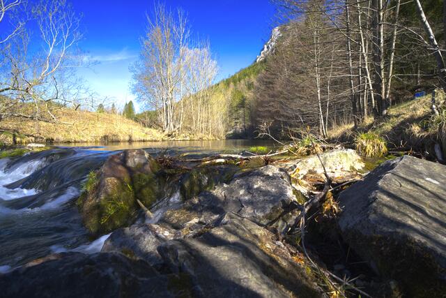 Heute war so ein schöner Tag im Naturpark Schwarzau im Gebirge | Foto: Herbert Stockhammer