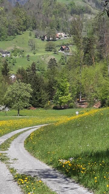 Blick von "Hahnenberg" auf "Halde" ©Edeltraud Fleisch 