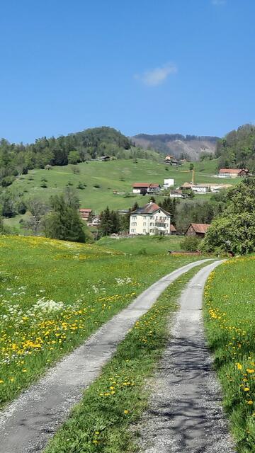 Blick von "Hahnenberg" auf "Halde" ©Edeltraud Fleisch 