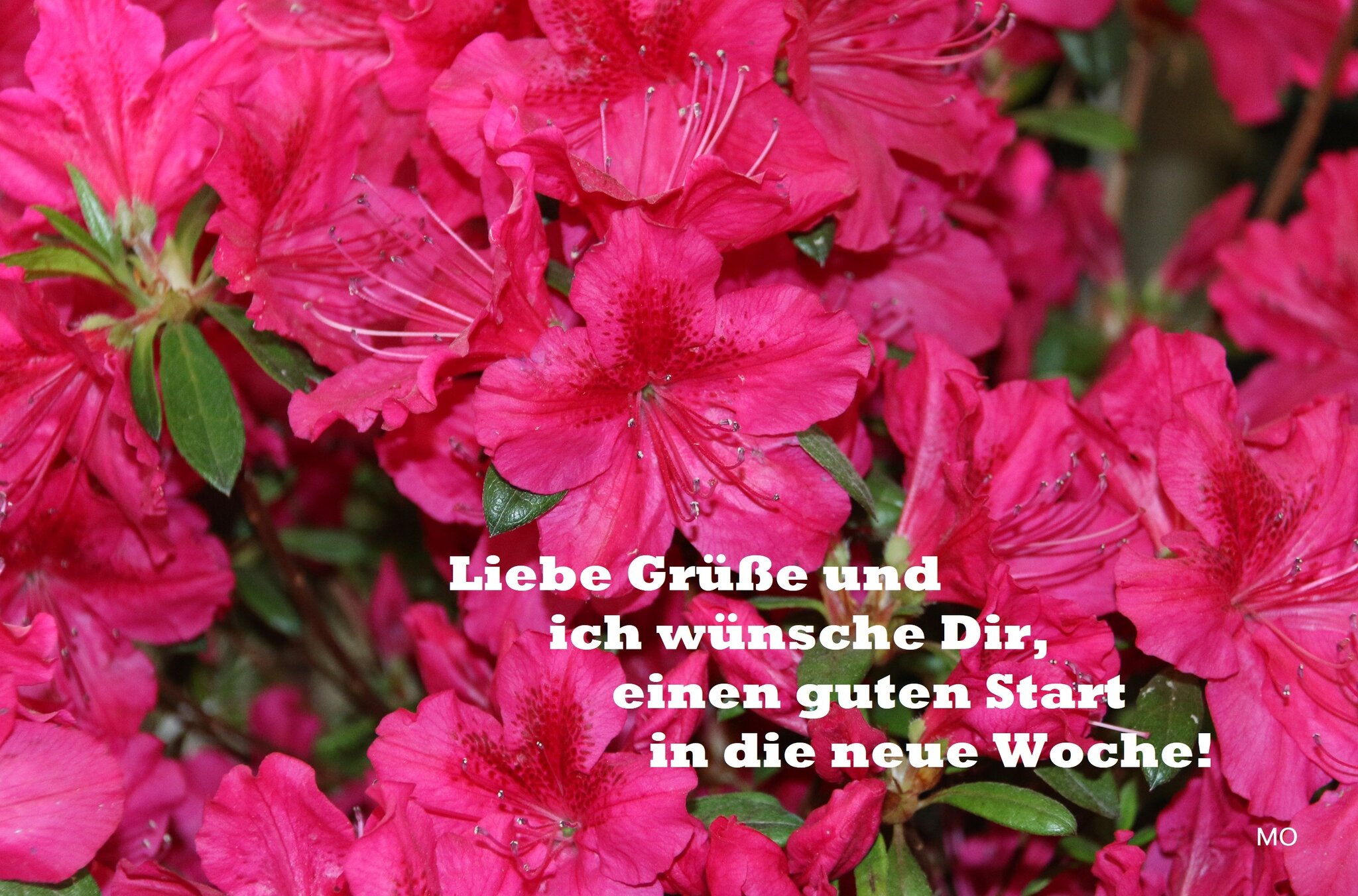 Liebe Grüße und ich wünsche Dir, einen guten Start in die neue Woche!