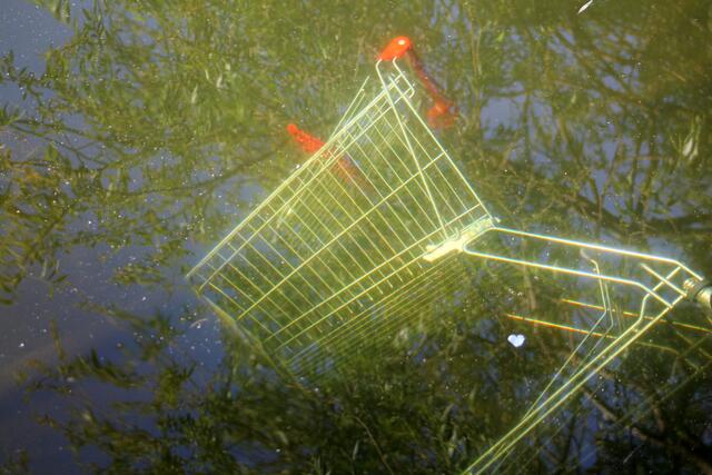 auch diesen Einkaufswagen findet man im wundervollen Wasserpark