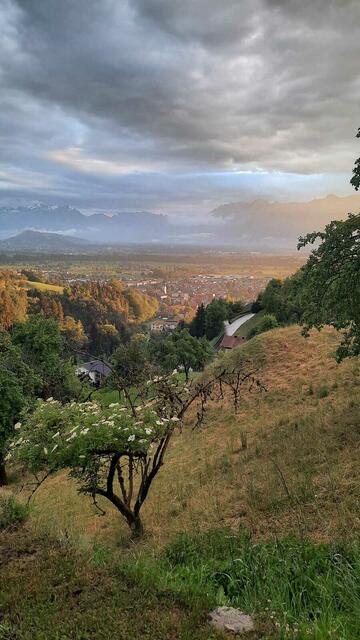 tolle Stimmung...
©Edeltraud Fleisch 