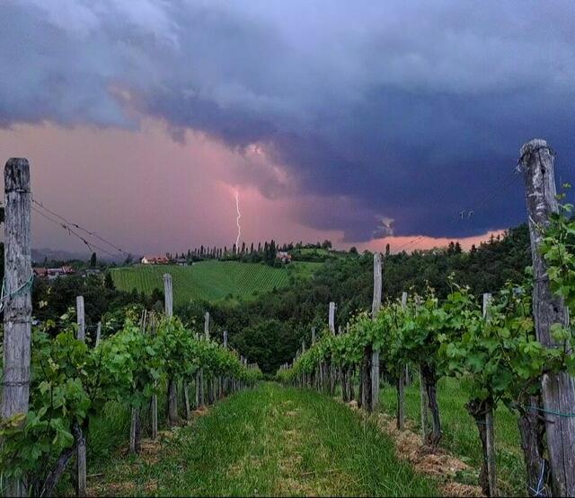 Die Südsteiermark ist trotz Gewitters wunderschön.  | Foto: Eva Reindl