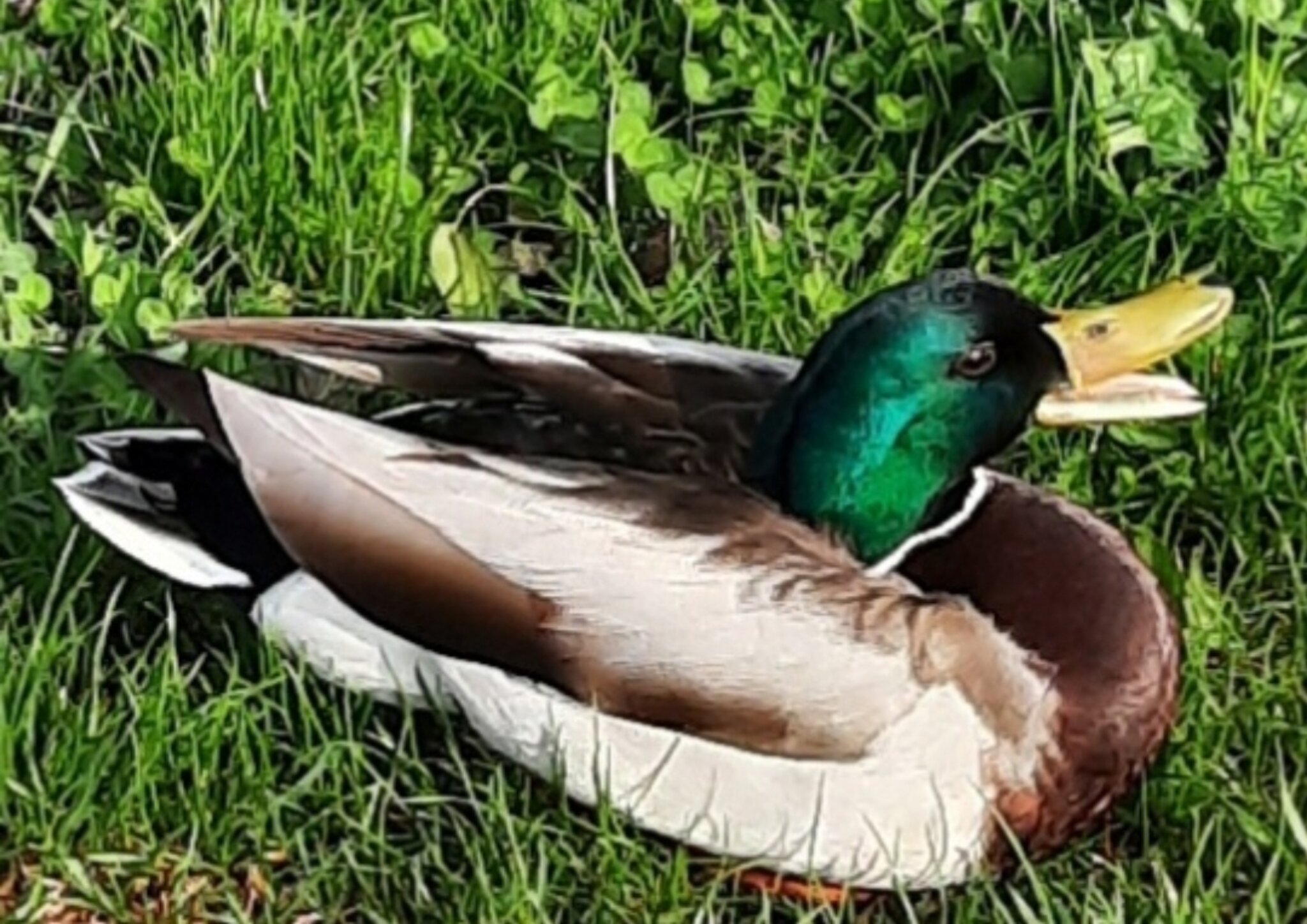 Entlang der Warmen Fischa