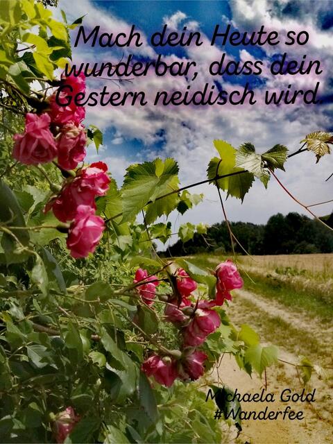Mach dein Heute so wunderbar, dass dein Gestern neidisch wird.