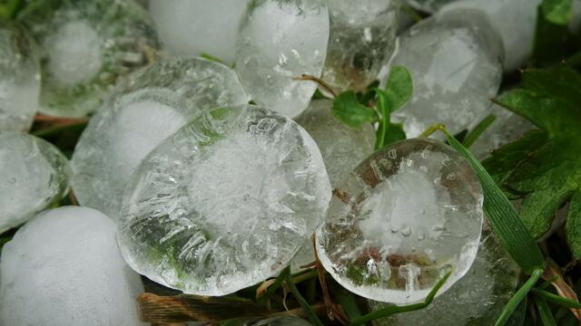 Wunder der Natur: Hagelkörner | Foto: © Silvia Plischek