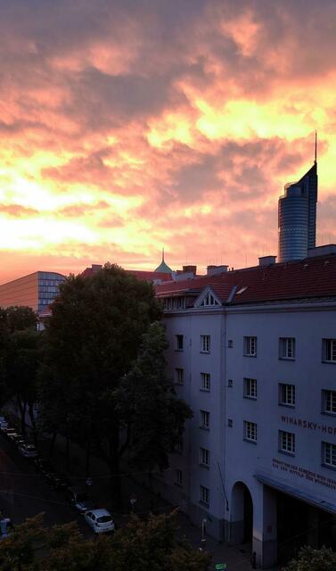 Sommermorgen in der Brigittenau